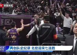 科维托娃与莱巴金娜比赛视频回放