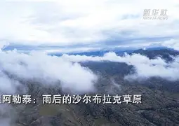 亚博体育平台-沙尔克战绩